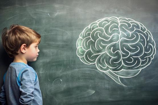 Why Psychology Isn’t Just for Adults (Or Disorders): It’s a Must for Every Child